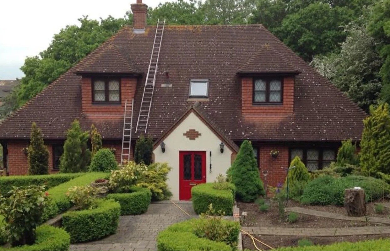 Essex roof covered in moss before cleaning