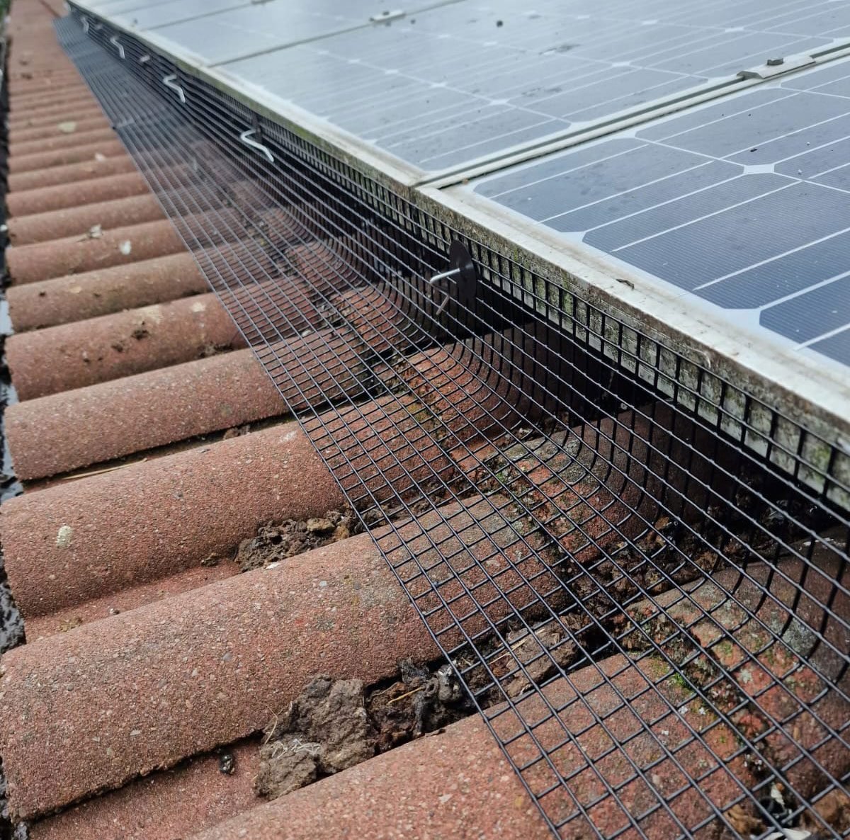 Bird proofing mesh clipped around solar panels on a tiled roof in Essex
