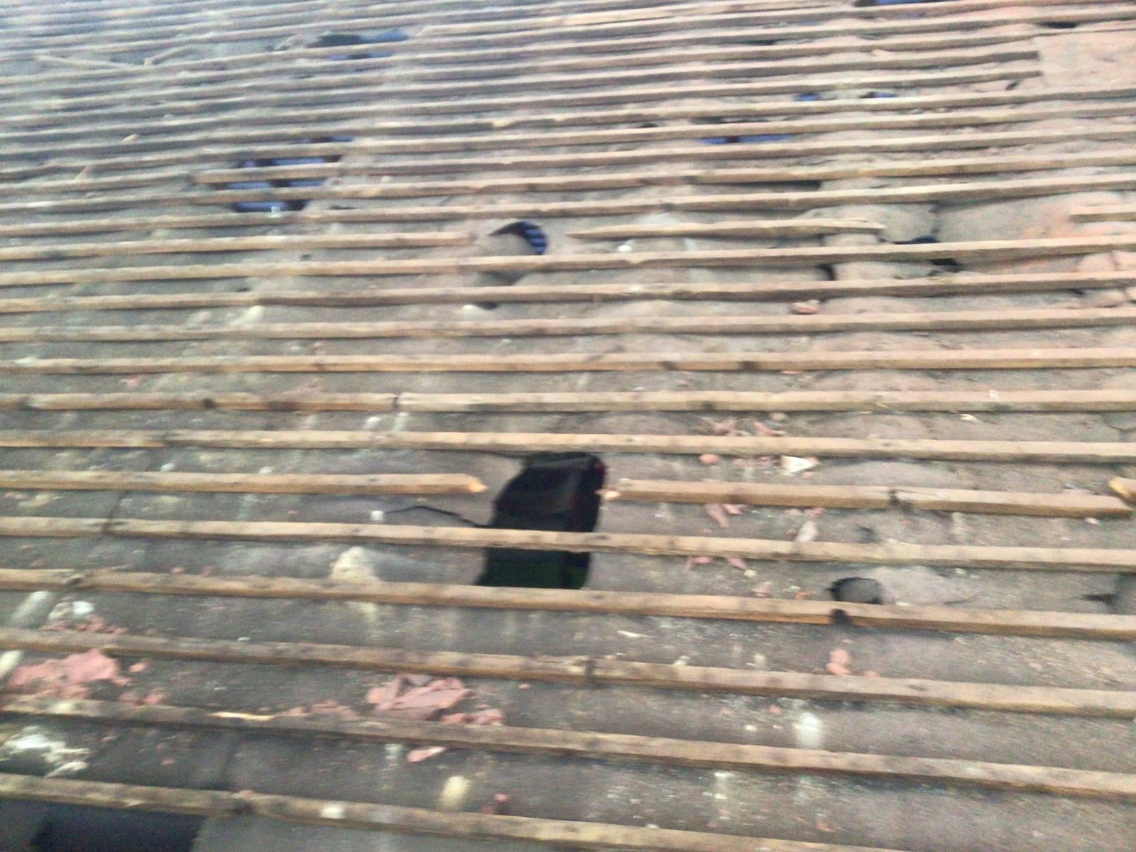 Re-roofs and new roofs in Essex by WD Property Maintenance