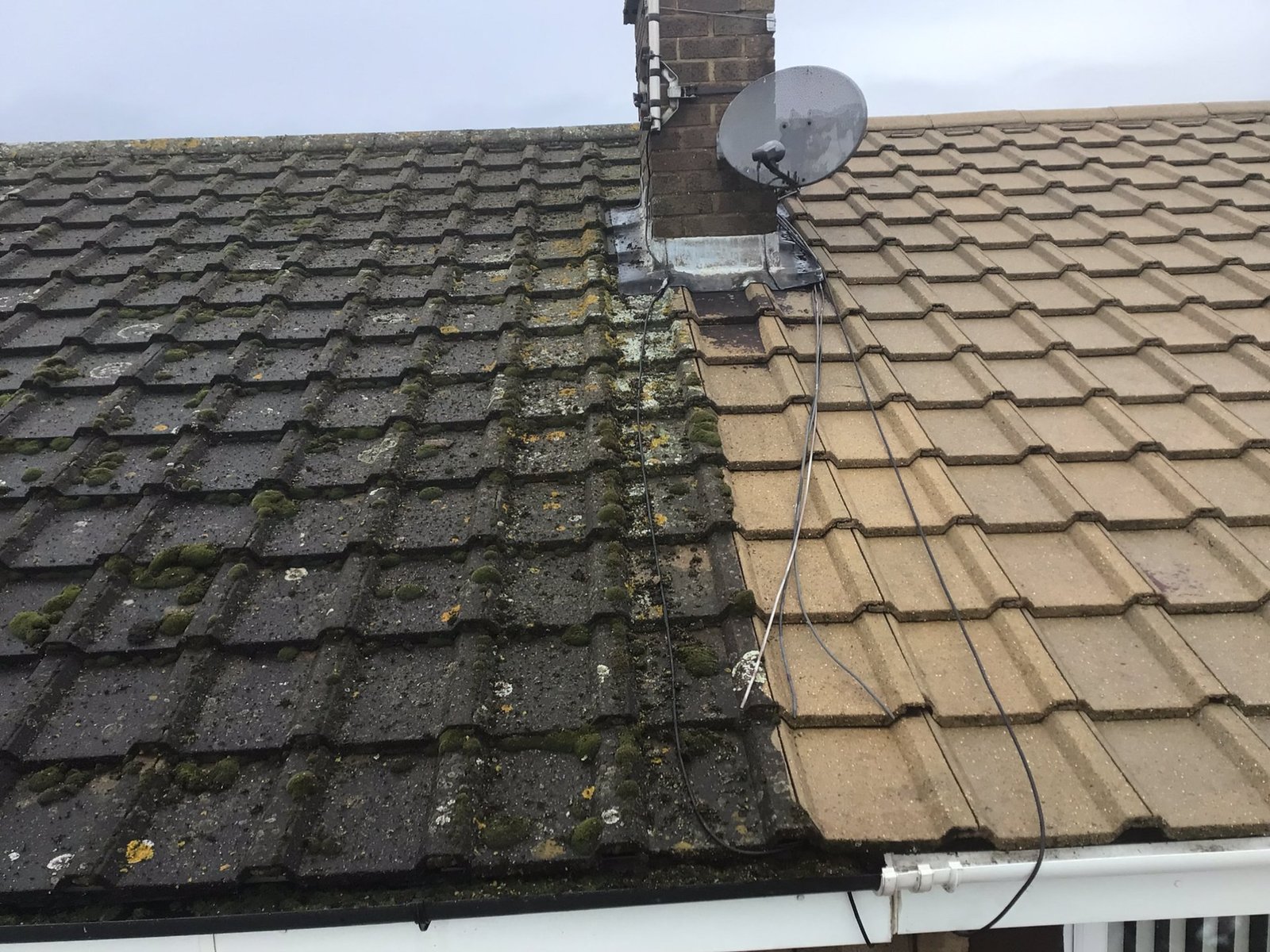 Roof Cleaning in Essex by WD Property Maintenance