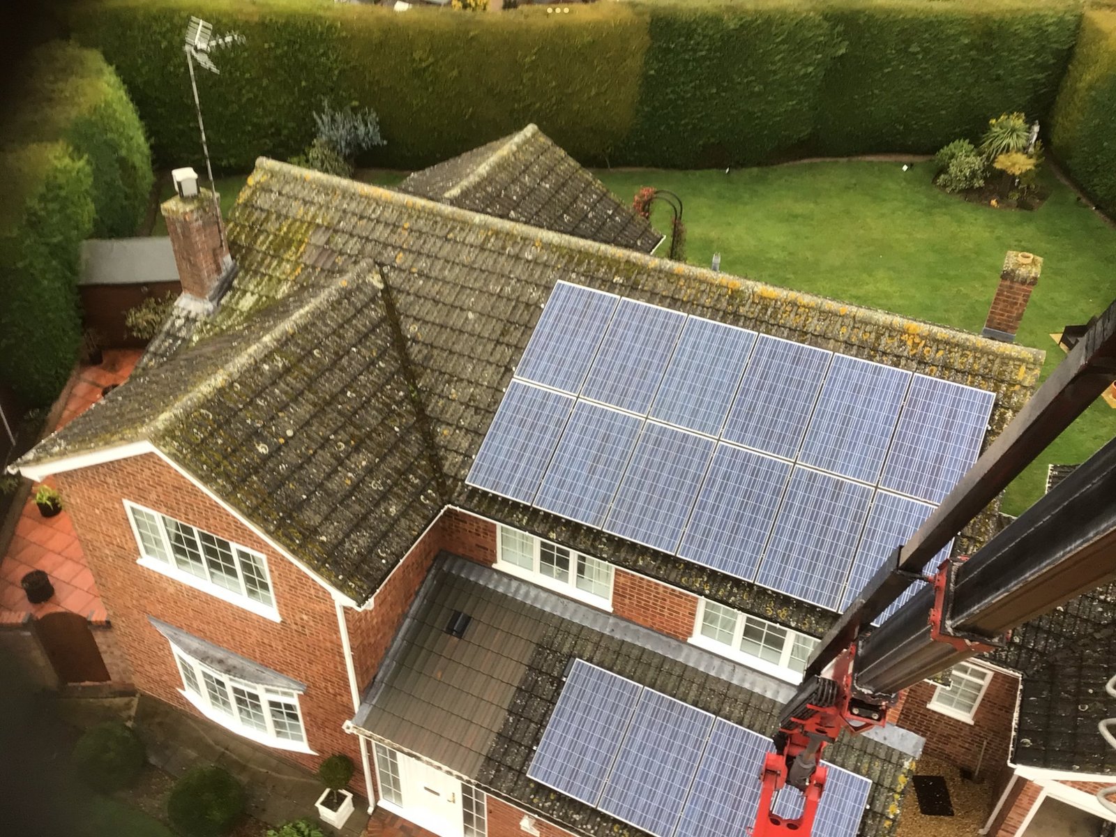 Solar panel bird proofing in Essex